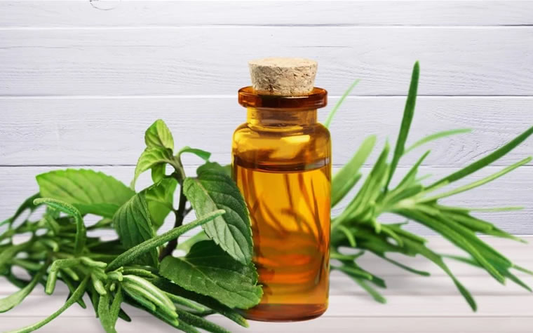 Les bienfaits anti-inflammatoires naturels de l’huile de tea tree